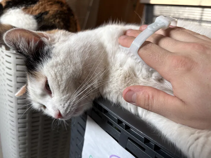 Lược chải lông thú cưng (Fellbürste) - Image 9