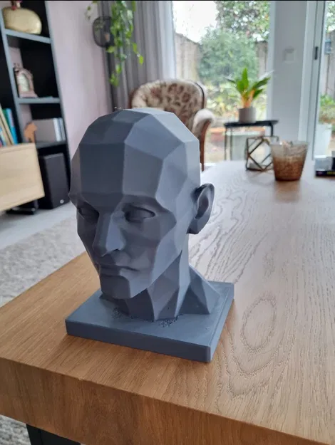 Mô hình đầu người Araso / Các mảng khối trên đầu người / Công cụ hỗ trợ vẽ chân dung - Image 1