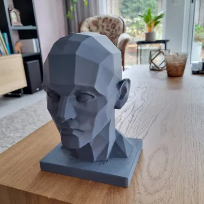 Mô hình đầu người Araso / Các mảng khối trên đầu người / Công cụ hỗ trợ vẽ chân dung