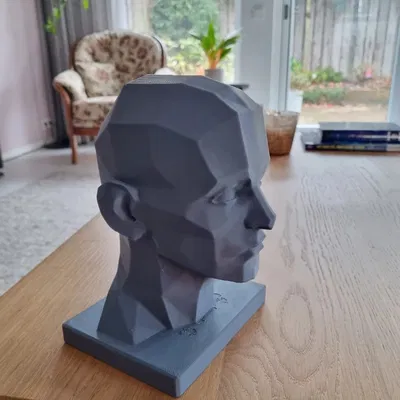 Mô hình đầu người Araso / Các mảng khối trên đầu người / Công cụ hỗ trợ vẽ chân dung