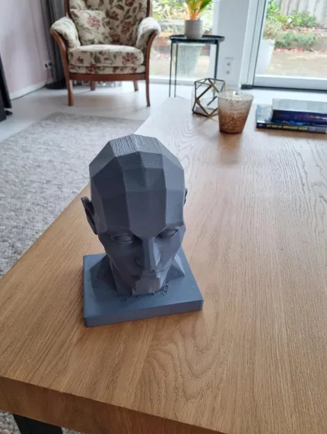 Mô hình đầu người Araso / Các mảng khối trên đầu người / Công cụ hỗ trợ vẽ chân dung - Image 4