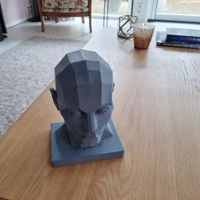 Mô hình đầu người Araso / Các mảng khối trên đầu người / Công cụ hỗ trợ vẽ chân dung