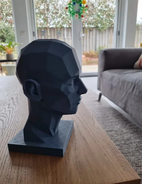 Mô hình đầu nữ Araso / Khối đầu / Phân mảng đầu - Image 2