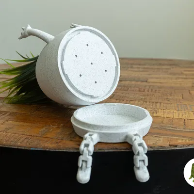 Chậu Cây Happy Flex Sitting Tạo Dáng Rock n Roll