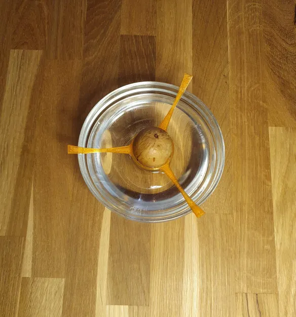 Giá đỡ hạt bơ in 3D (Avocado-pit clip) – Trợ thủ đắc lực cho người yêu cây - Image 5