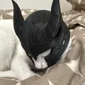 Helmet Cat - Mũ chiến binh mèo phong cách Fantasy độc đáo - Thumbnail 4
