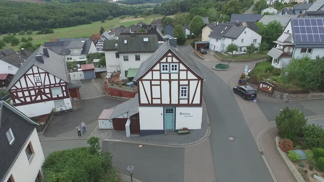 Mô hình Backhaus Nenderoth (Backes) - Image 8