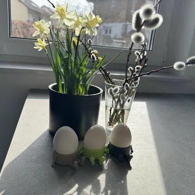 Ly đựng trứng hình người ngộ nghĩnh (Trang trí Phục sinh) – Dễ in