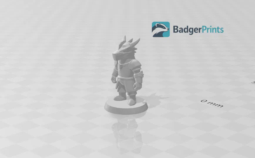Mô hình Dragonborn Paladin 3D cho trò chơi nhập vai RPG - Image 1