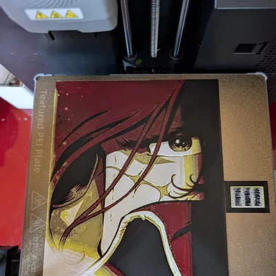 Mô hình tranh treo tường Captain Harlock-00