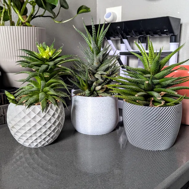 The Planter Project - Bộ sưu tập chậu cây độc đáo - Image 1