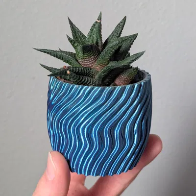 The Planter Project - Bộ sưu tập chậu cây độc đáo