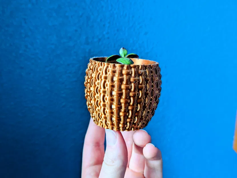 The Planter Project - Bộ sưu tập chậu cây độc đáo - Image 6