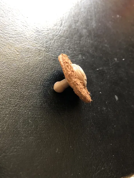 Nút cài kiểu Sam-Brown (Loại tải trọng nhẹ) - Image 3