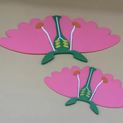 Mô hình cấu tạo các bộ phận của hoa (Parts of a flower)