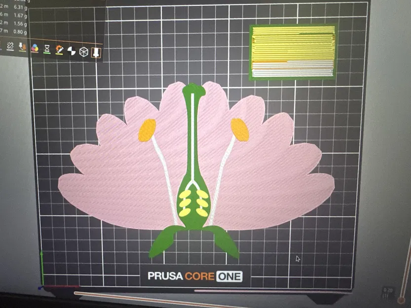 Mô hình cấu tạo các bộ phận của hoa (Parts of a flower) - Image 3