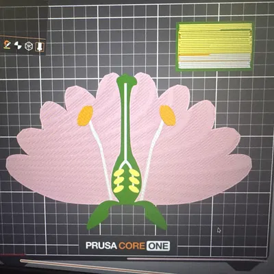 Mô hình cấu tạo các bộ phận của hoa (Parts of a flower)