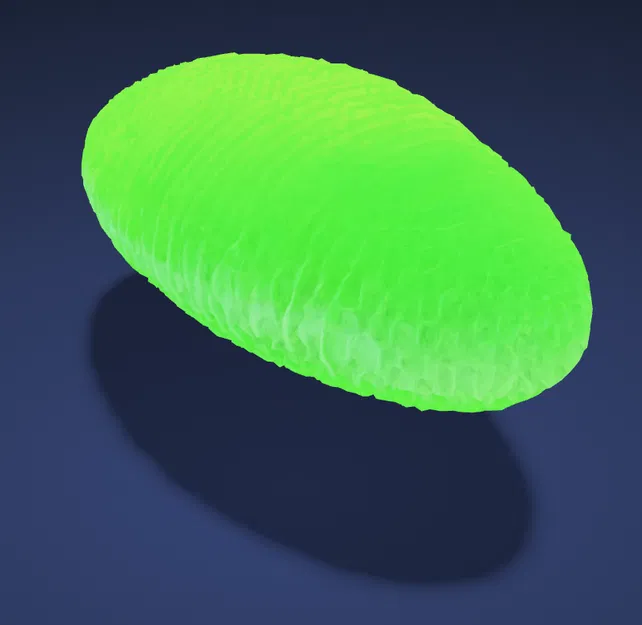 Mô hình vật thể 3D dạng kén trang trí độc đáo - Image 1