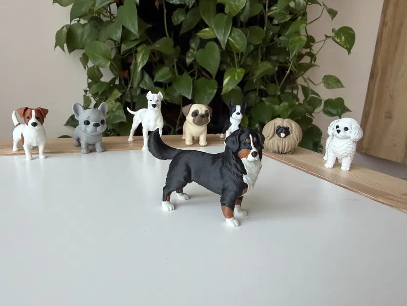 Mô hình in 3D chó Bernese Mountain Dog chân thực - Image 1