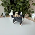 Mô hình in 3D chó Bernese Mountain Dog chân thực - Thumbnail 1