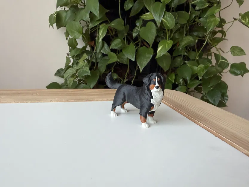 Mô hình in 3D chó Bernese Mountain Dog chân thực - Image 2