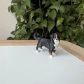 Mô hình in 3D chó Bernese Mountain Dog chân thực - Thumbnail 2
