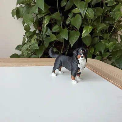 Mô hình in 3D chó Bernese Mountain Dog chân thực