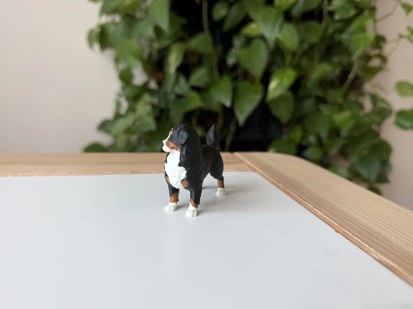 Mô hình in 3D chó Bernese Mountain Dog chân thực - Image 3