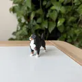 Mô hình in 3D chó Bernese Mountain Dog chân thực - Thumbnail 3