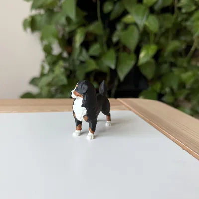 Mô hình in 3D chó Bernese Mountain Dog chân thực