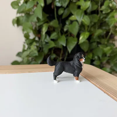 Mô hình in 3D chó Bernese Mountain Dog chân thực