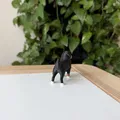 Mô hình in 3D chó Bernese Mountain Dog chân thực - Thumbnail 5