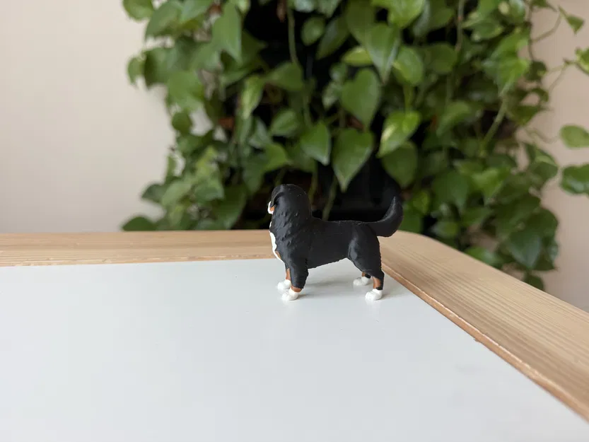 Mô hình in 3D chó Bernese Mountain Dog chân thực - Image 6