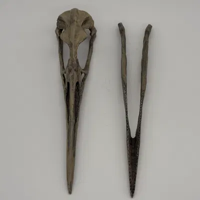 Mô hình hộp sọ chim cổ đại Hesperonis (tỷ lệ 1:1)