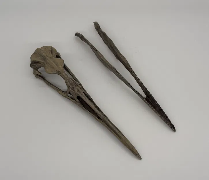 Mô hình hộp sọ chim cổ đại Hesperonis (tỷ lệ 1:1) - Image 5