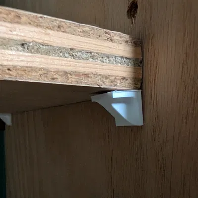 Chốt kệ chịu lực (Sturdy Shelf Peg)