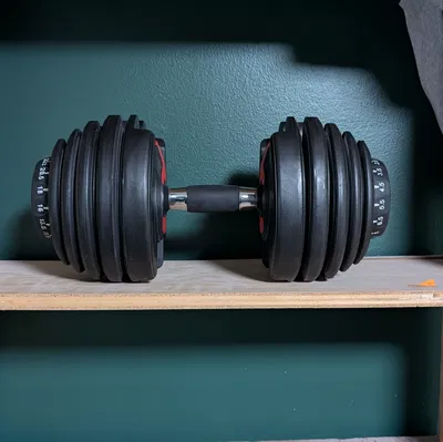 Chốt kệ chịu lực (Sturdy Shelf Peg)