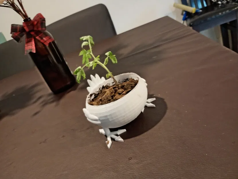 Chậu cây hình chú gà mập (Fat chicken pot) độc đáo cho người yêu cây - Image 2