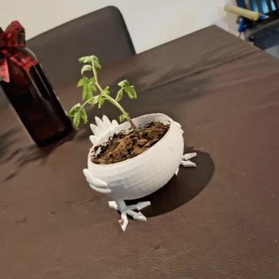 Chậu cây hình chú gà mập (Fat chicken pot) độc đáo cho người yêu cây