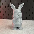 Cool Bunny - Chú thỏ cá tính với phong cách cực ngầu - Thumbnail 14
