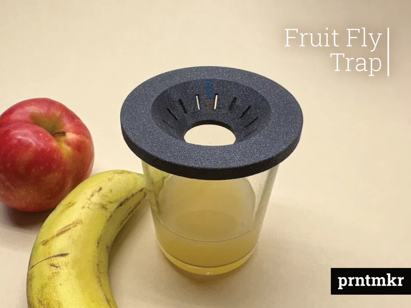 Bẫy ruồi giấm – Đơn giản, tinh tế & có thể tái sử dụng - Image 1