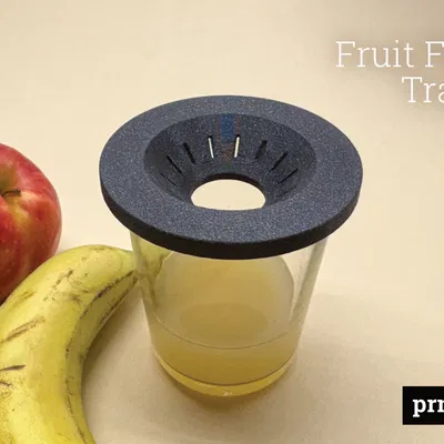 Bẫy ruồi giấm – Đơn giản, tinh tế & có thể tái sử dụng