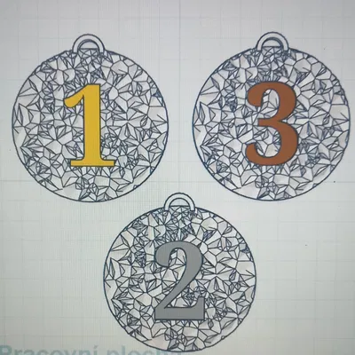 Mẫu Huy Chương Thể Thao Mùa Đông Đẹp Mắt In 3D (STL)