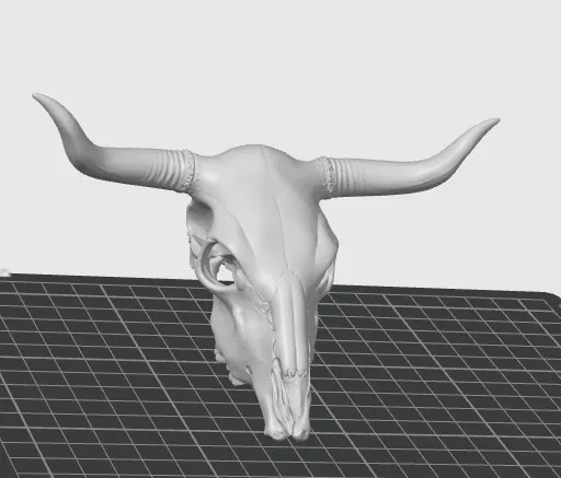 Mô hình hộp sọ bò tót Longhorn trang trí 3D cực chất - Image 1