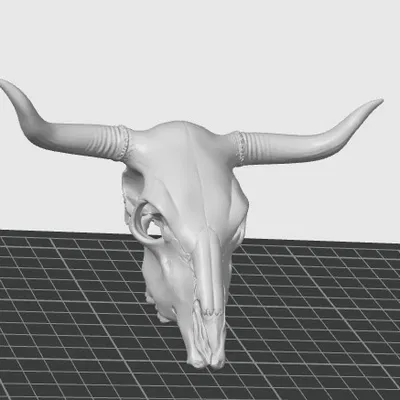 Mô hình hộp sọ bò tót Longhorn trang trí 3D cực chất