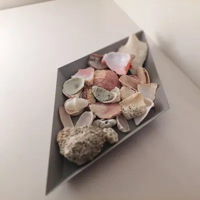 Khay hình thoi dạng mô-đun / Bộ sắp xếp bàn làm việc hình học