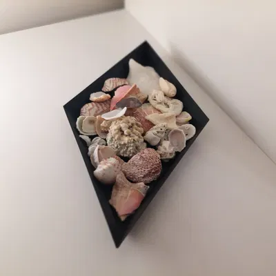 Khay hình thoi dạng mô-đun / Bộ sắp xếp bàn làm việc hình học