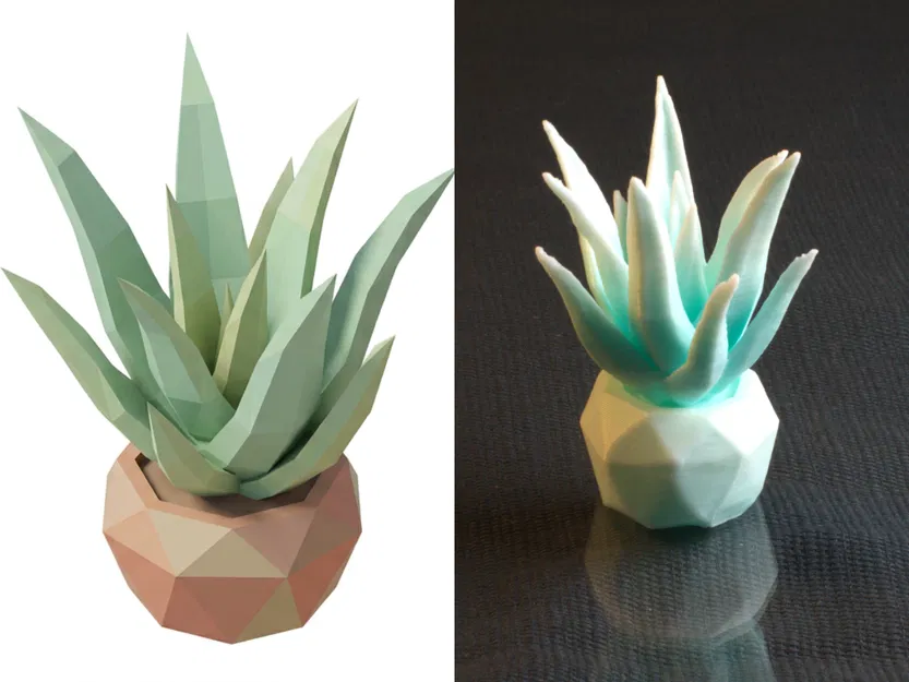 Sen Đá Đa Giác Trang Trí Để Bàn - Image 1