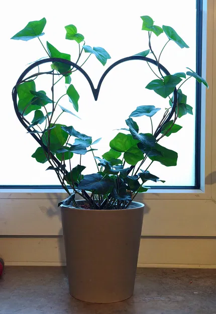 Cọc Đỡ Cây Hình Trái Tim (Plant Support Stake) - Image 1