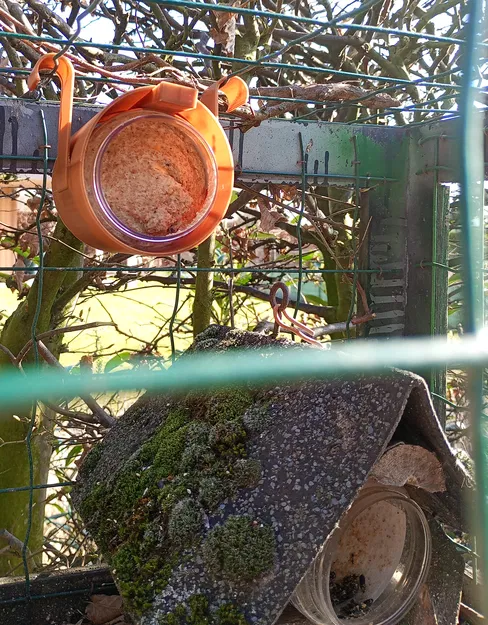 Giá đỡ hũ bơ đậu phộng cho chim ăn - Image 2